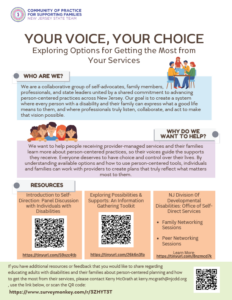 Image New Jersey State Team's One Page PDF titled "Your Voice. Your Choice."