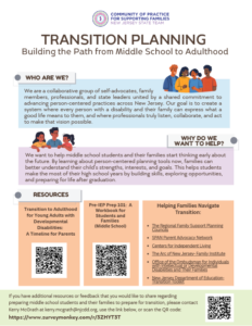 Image New Jersey State Team's One Page PDF titled "Transition Planning."